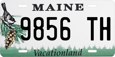 ME license plate 9856TH