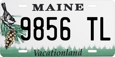 ME license plate 9856TL