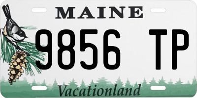 ME license plate 9856TP