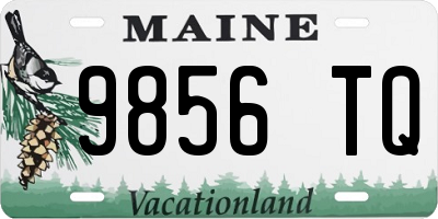 ME license plate 9856TQ