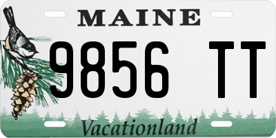 ME license plate 9856TT