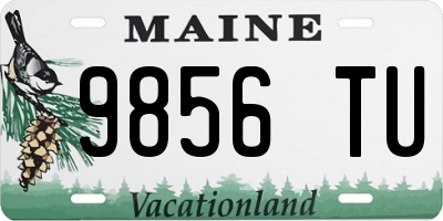 ME license plate 9856TU