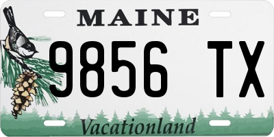 ME license plate 9856TX