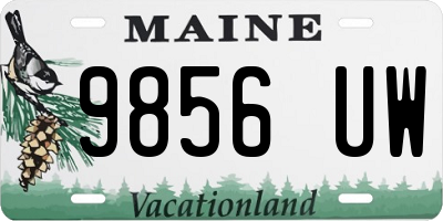 ME license plate 9856UW