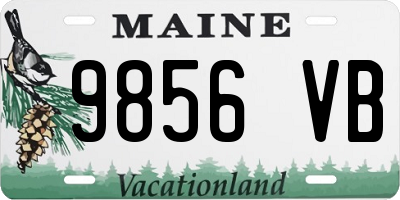 ME license plate 9856VB