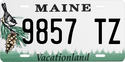 ME license plate 9857TZ