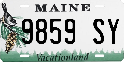 ME license plate 9859SY