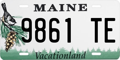 ME license plate 9861TE