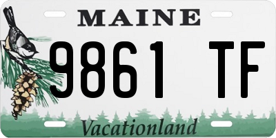 ME license plate 9861TF