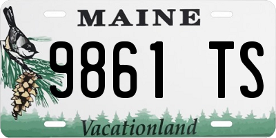 ME license plate 9861TS