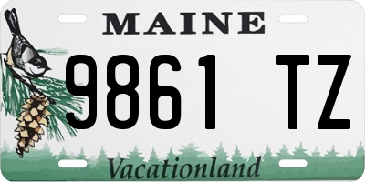 ME license plate 9861TZ