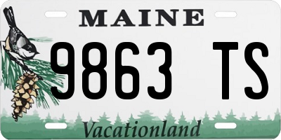 ME license plate 9863TS