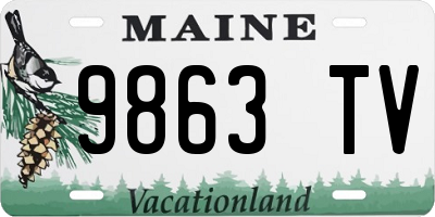 ME license plate 9863TV