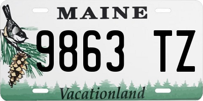 ME license plate 9863TZ