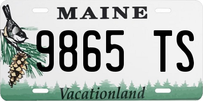 ME license plate 9865TS