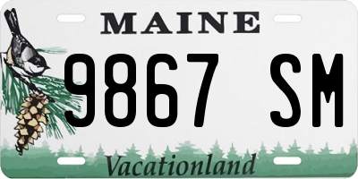 ME license plate 9867SM