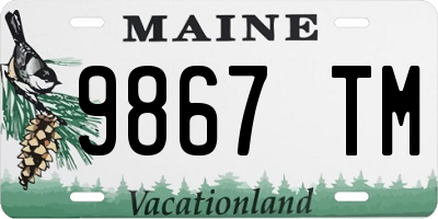 ME license plate 9867TM