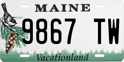 ME license plate 9867TW