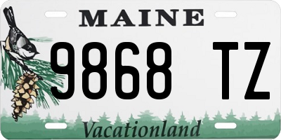 ME license plate 9868TZ