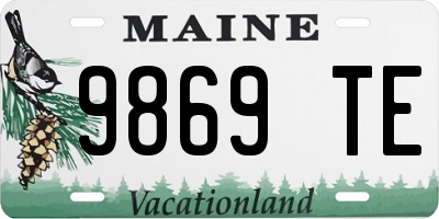 ME license plate 9869TE