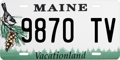 ME license plate 9870TV