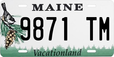 ME license plate 9871TM