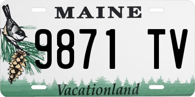 ME license plate 9871TV