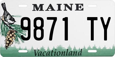 ME license plate 9871TY