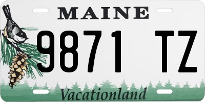 ME license plate 9871TZ