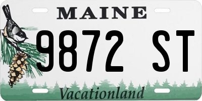 ME license plate 9872ST