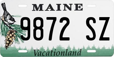 ME license plate 9872SZ