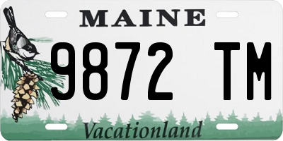 ME license plate 9872TM