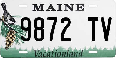 ME license plate 9872TV