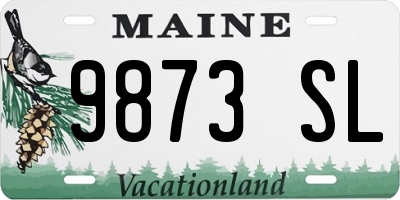 ME license plate 9873SL