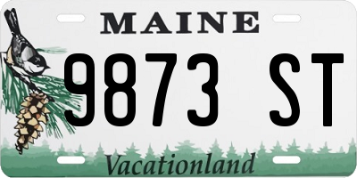 ME license plate 9873ST