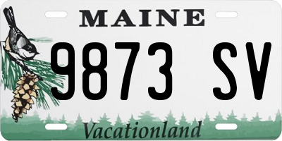 ME license plate 9873SV