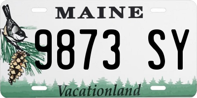 ME license plate 9873SY