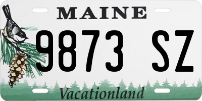 ME license plate 9873SZ