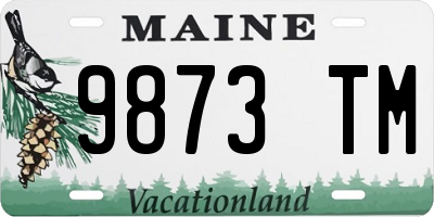 ME license plate 9873TM