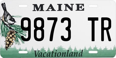 ME license plate 9873TR