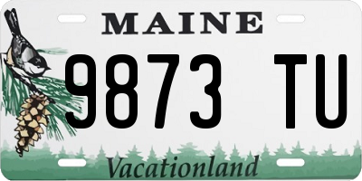 ME license plate 9873TU