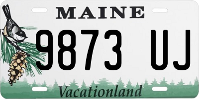 ME license plate 9873UJ