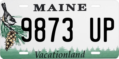 ME license plate 9873UP