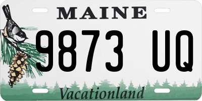 ME license plate 9873UQ