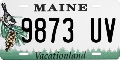 ME license plate 9873UV