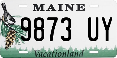 ME license plate 9873UY