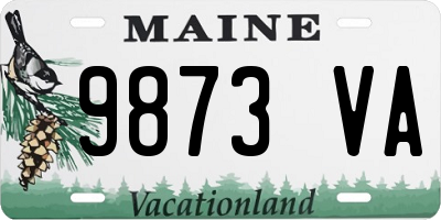 ME license plate 9873VA