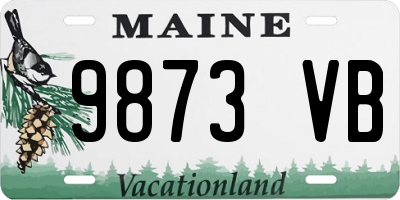 ME license plate 9873VB