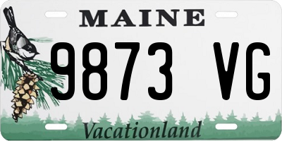 ME license plate 9873VG