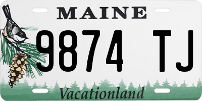 ME license plate 9874TJ